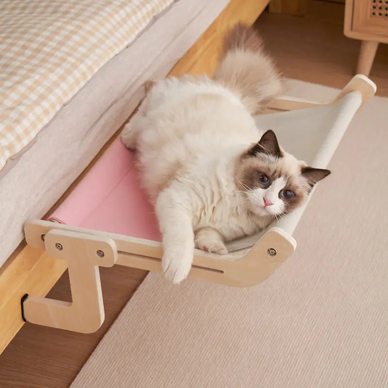 Cat Window Hammock Bed